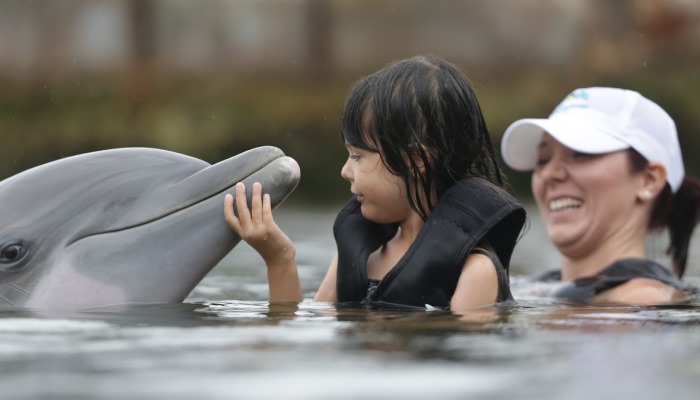 nina autista tocando delfin junto a su madre