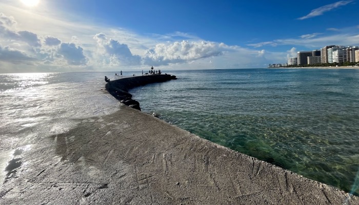 lugar popular para pescar en miami beach