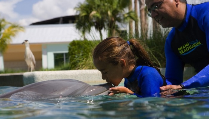 nina banandose y besando a un delfin en miami seaquarium