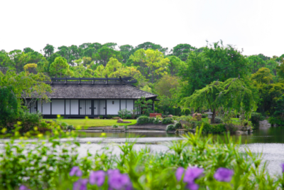 vista de los jardines y casa japonesa en museo morikami de florida