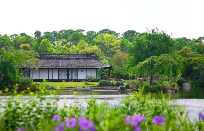 vista de los jardines y casa japonesa en museo morikami de florida