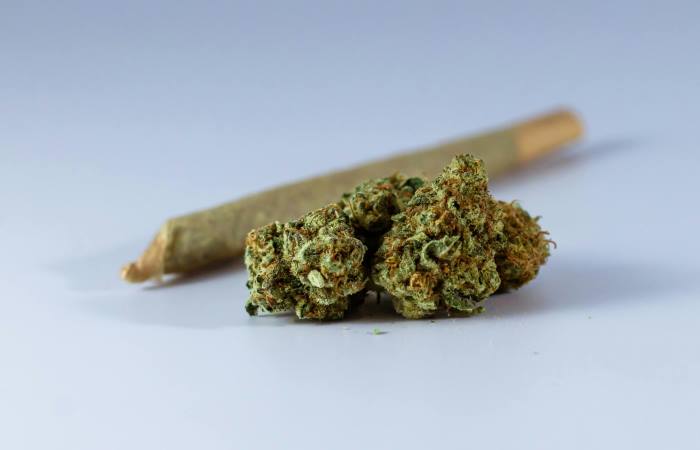 hoja seca de marihuana