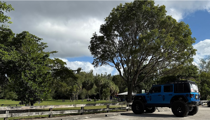 parqueo del parque amelia en hialeah